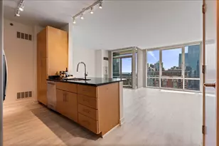 505 N McClurg Ct, Chicago, IL 60611 - Photo 8