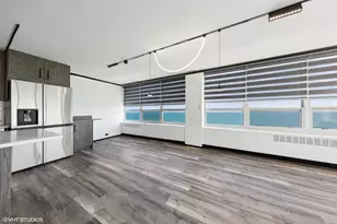 4800 S Chicago Beach Dr, Chicago, IL 60615 - Photo 10