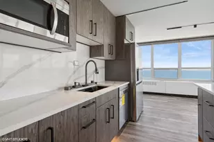 4800 S Chicago Beach Dr, Chicago, IL 60615 - Photo 6