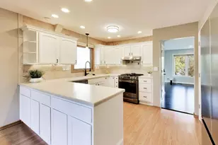 1000 E Ardyce Ln, Mount Prospect, IL 60056 - Photo 6