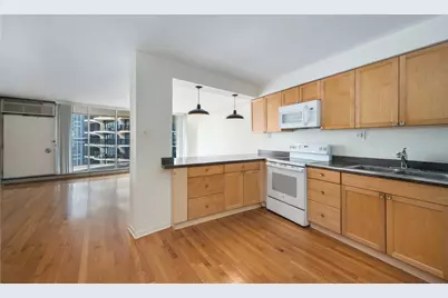300 N State Street #4735, Chicago, IL 60654 - Photo 2