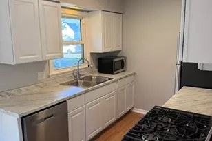 6101 Stonewall Ave, Downers Grove, IL 60516 - Photo 8