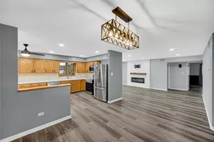 11042 S Theresa Circle, Palos Hills, IL 60465 - Photo 8