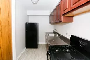 1040 W Hollywood Ave, Chicago, IL 60660 - Photo 4