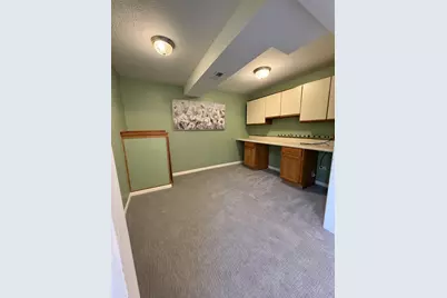 8885 Dryden Street, Woodridge, IL 60517 - Photo 26