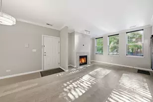 1225 N Orleans St, Chicago, IL 60610 - Photo 4