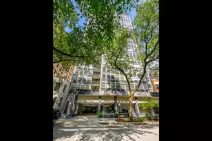 30 E Elm St, Chicago, IL 60611 - Photo 2