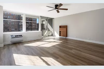 30 E Elm Street #18B, Chicago, IL 60611 - Photo 10