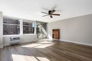 30 E Elm St, Chicago, IL 60611 - Photo 10