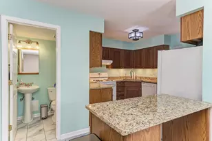 167 Bright Ridge Dr, Schaumburg, IL 60194 - Photo 12
