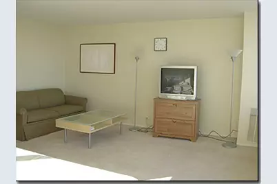 655 W Irving Park Road #4409, Chicago, IL 60613 - Photo 4