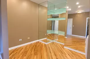 1717 S Prairie Ave, Chicago, IL 60616 - Photo 6