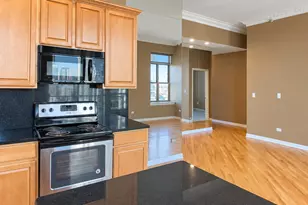 1717 S Prairie Ave, Chicago, IL 60616 - Photo 14