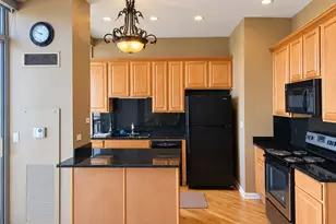 1717 S Prairie Ave, Chicago, IL 60616 - Photo 12