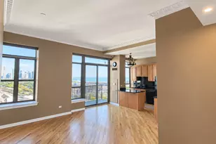 1717 S Prairie Ave, Chicago, IL 60616 - Photo 10