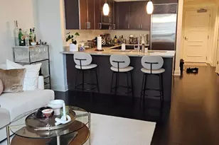 10 E Delaware Pl, Chicago, IL 60611 - Photo 6