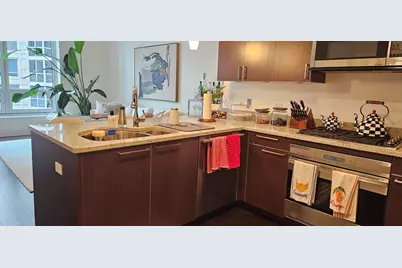 10 E Delaware Place #20C, Chicago, IL 60611 - Photo 4