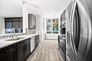 1111 S Wabash Ave, Chicago, IL 60605 - Photo 10