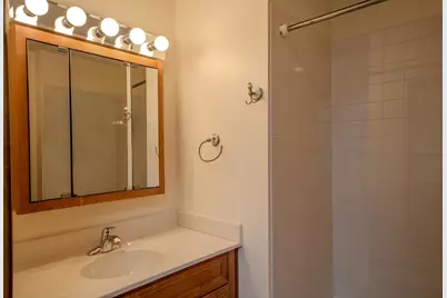 932 E 55th Street, Chicago, IL 60615 - Photo 10