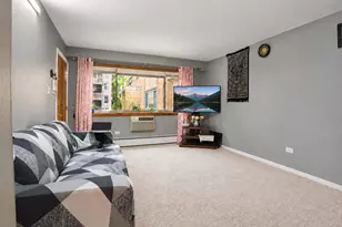 7019 N Ridge Blvd, Chicago, IL 60645 - Photo 6