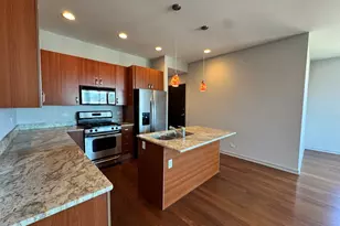 908 N Ashland Ave, Chicago, IL 60622 - Photo 2