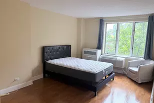 801 S Plymouth Ct, Chicago, IL 60605 - Photo 8
