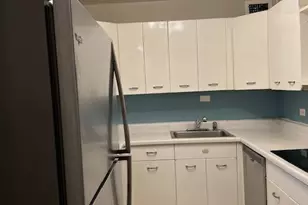 4800 S Chicago Beach Dr, Chicago, IL 60615 - Photo 6