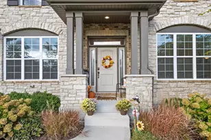 10048 El Cameno Real Dr, Orland Park, IL 60462 - Photo 2