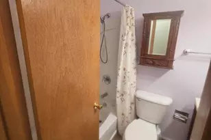 1211 E Indiana Ave, Pontiac, IL 61764 - Photo 12