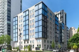 61 E Banks St, Chicago, IL 60610 - Photo 1