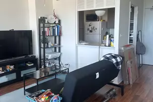 70 W Burton Pl, Chicago, IL 60610 - Photo 6