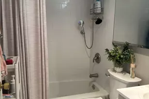 70 W Burton Pl, Chicago, IL 60610 - Photo 12