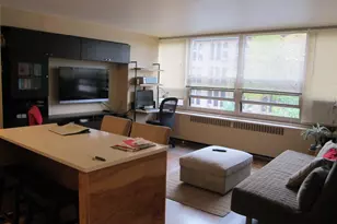 3950 N Lake Shore Dr, Chicago, IL 60613 - Photo 2