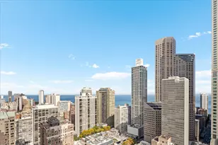 11 E Walton St, Chicago, IL 60611 - Photo 30