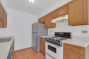 119 E Shag Bark Ln, Streamwood, IL 60107 - Photo 14