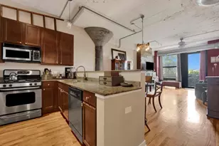 1071 W 15th St, Chicago, IL 60608 - Photo 8