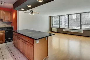 1360 N Sandburg Terrace, Chicago, IL 60610 - Photo 4