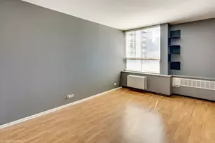 1360 N Sandburg Terrace, Chicago, IL 60610 - Photo 10