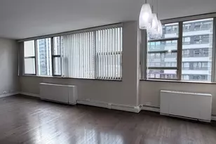 40 E Cedar St, Chicago, IL 60611 - Photo 6