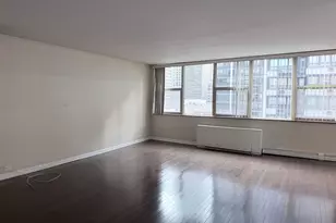 40 E Cedar St, Chicago, IL 60611 - Photo 4