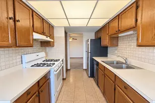 4009 W 93rd Pl, Oak Lawn, IL 60453 - Photo 8