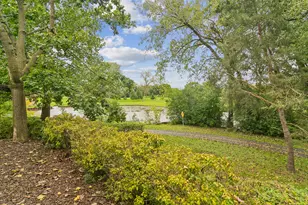 1039 N Auburn Woods Dr, Palatine, IL 60067 - Photo 30