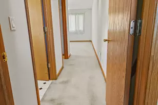 9 Hilgert Ct, Grant Park, IL 60940 - Photo 28