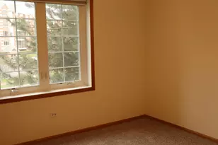 7927 Trinity Cir, Tinley Park, IL 60487 - Photo 16