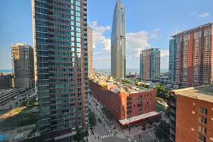 512 N McClurg Ct, Chicago, IL 60611 - Photo 6