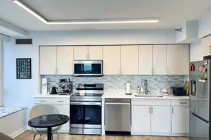 512 N McClurg Ct, Chicago, IL 60611 - Photo 10
