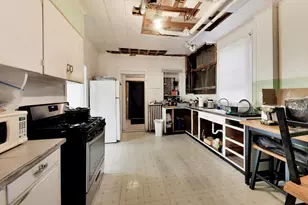 813 N Cuyler Ave, Oak Park, IL 60302 - Photo 14