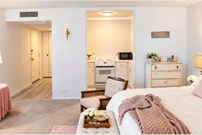 260 E Chestnut Street #409, Chicago, IL 60611 - Photo 4