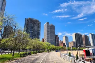 70 E Scott St, Chicago, IL 60610 - Photo 30