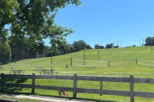 5880 Forest View Rd, Lisle, IL 60532 - Photo 28